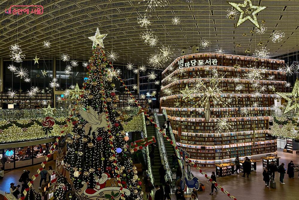 Brightening the Year-End: Top 3 Christmas Hot Spots in Seoul